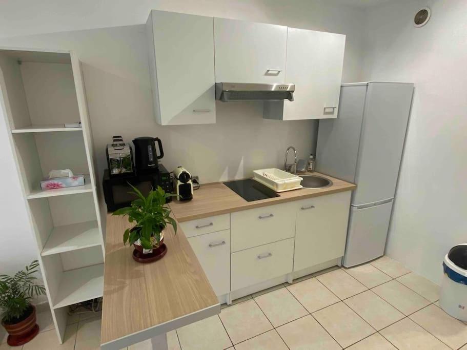 Apartment Proche De La Nizza